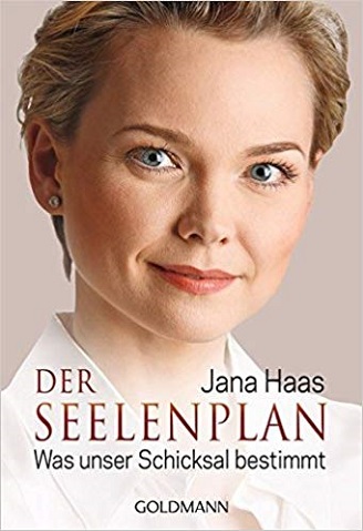 Buchcover: Der Seelenplan